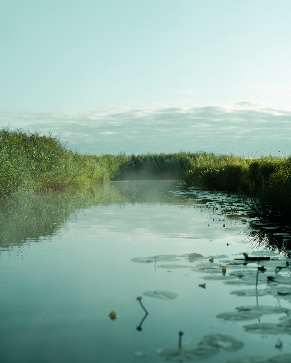 Suitsu river